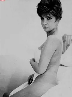 gina lollobrigida