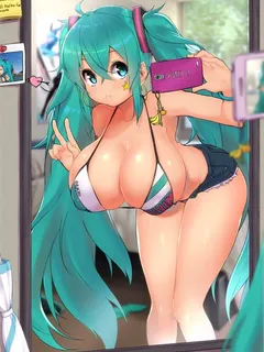 vocaloid hatsune miku magister (bigbakunyuu)