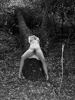 vintage nude zoe zane 280 freeway photo ca usa