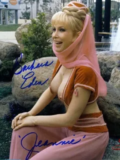 barbara eden public tits porn